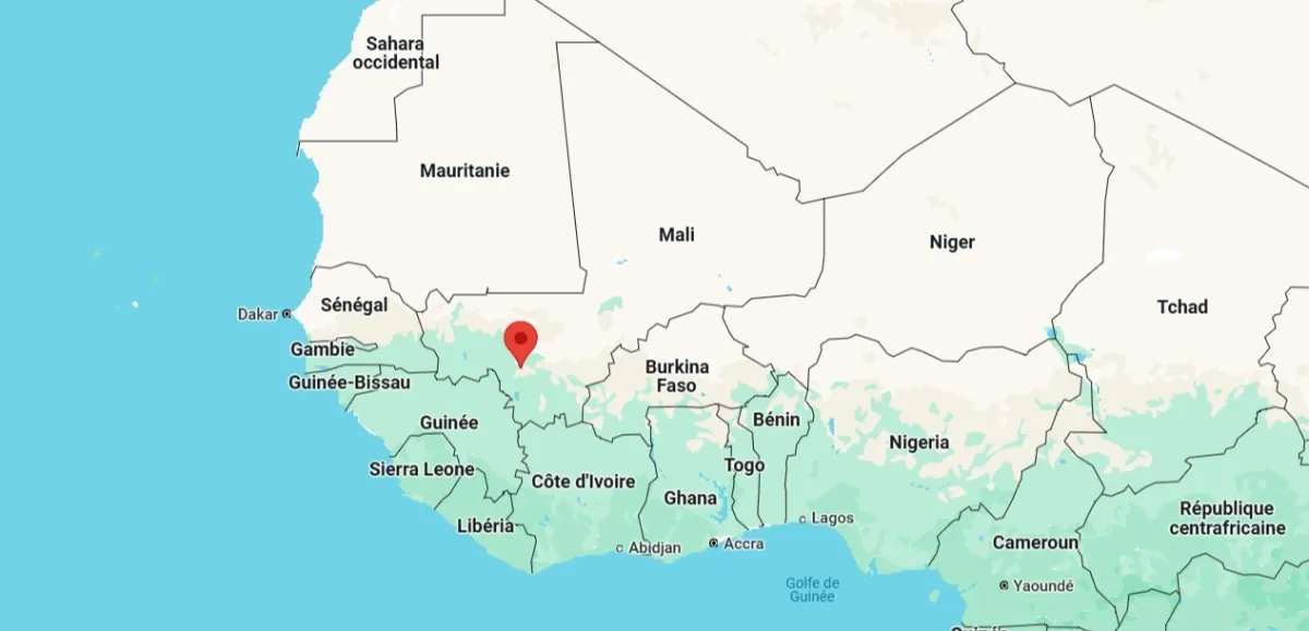 manifestation à Bamako contre dissolution des partis politiques au Mali