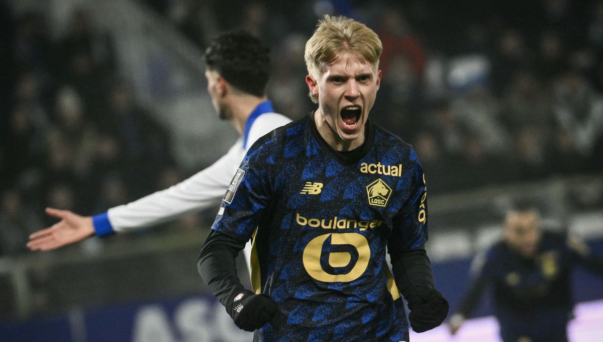 Les Dogues de Lille lors d'un match précédent face à Auxerre