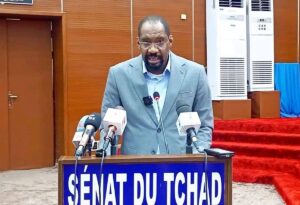 Tchad : le ministre de la sécurité publique alerte sur la montée des violences communautaires