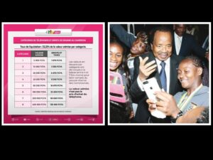 Téléphone portable : la taxe de l&rsquo;État camerounais qui freine la révolution numérique