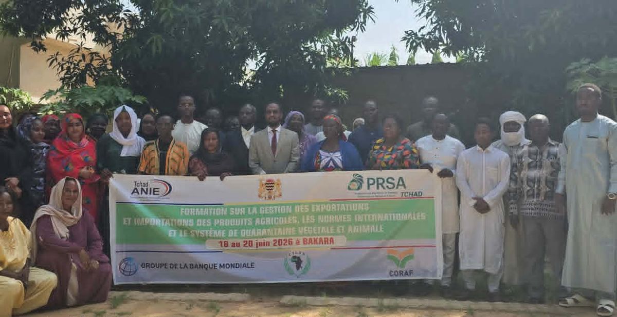 Formation à Bakara pour les exportations agricoles au Tchad