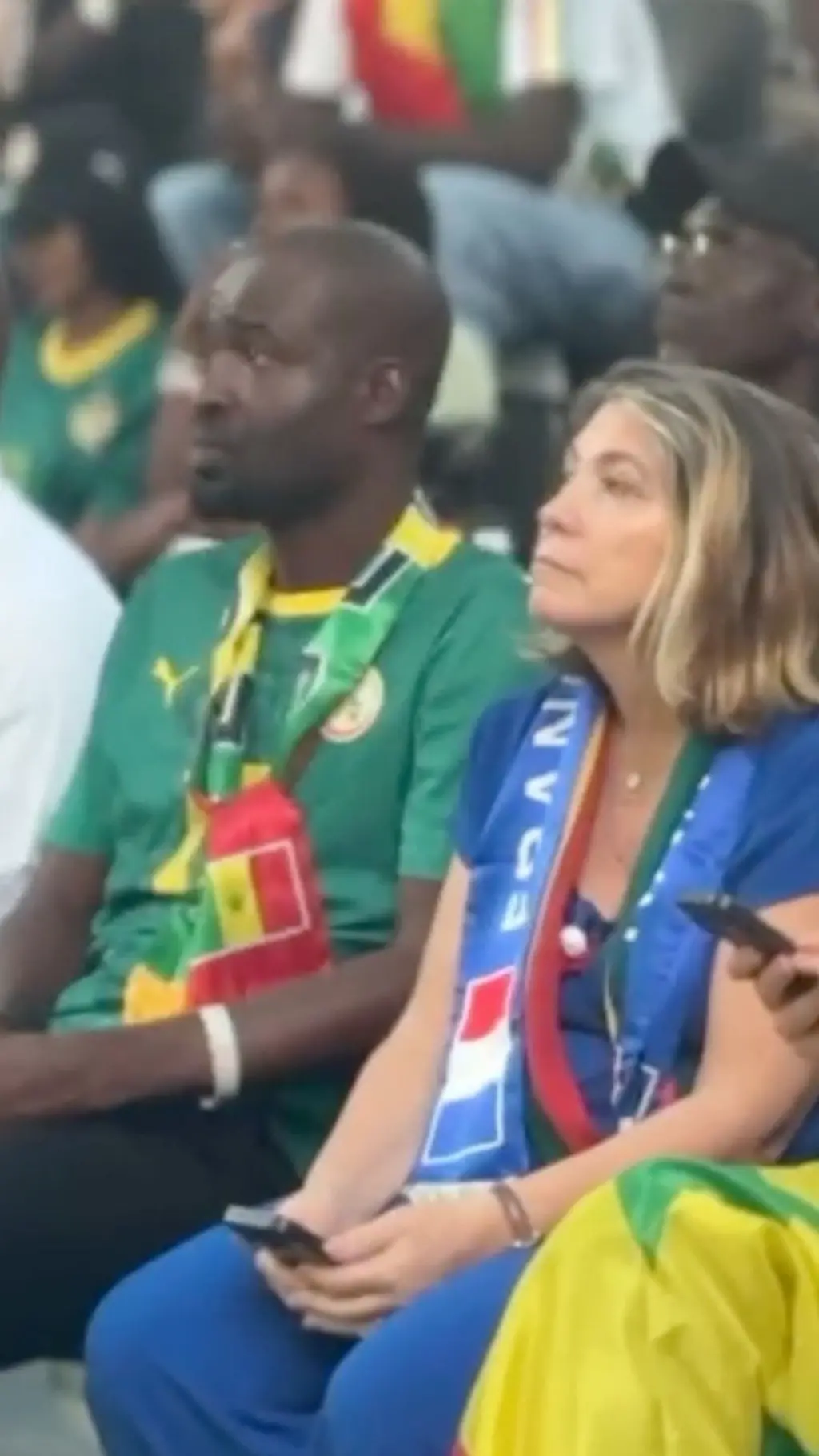 Supporters français et sénégalais