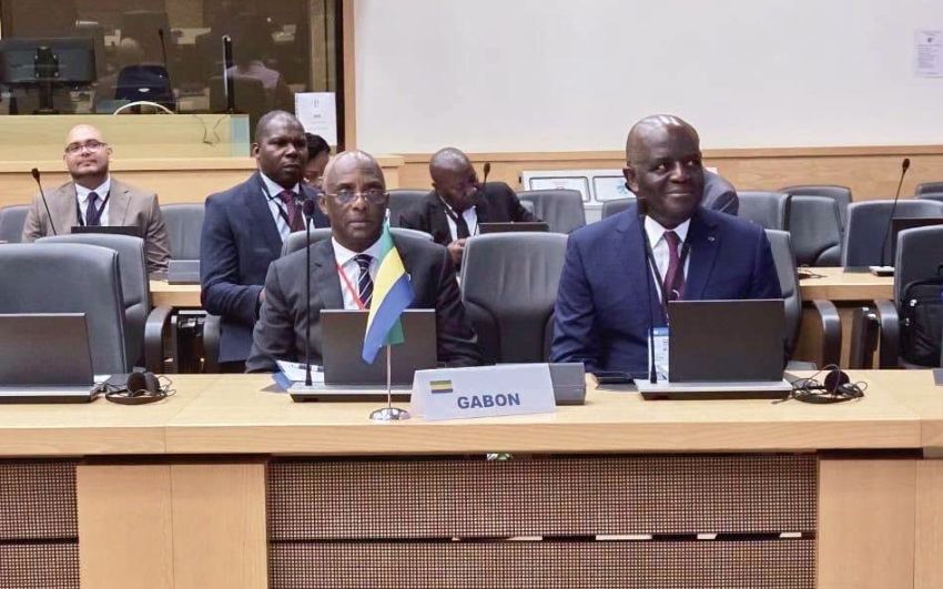 Rencontre diplomatique entre l'ambassadeur du Gabon et un ministre délégué