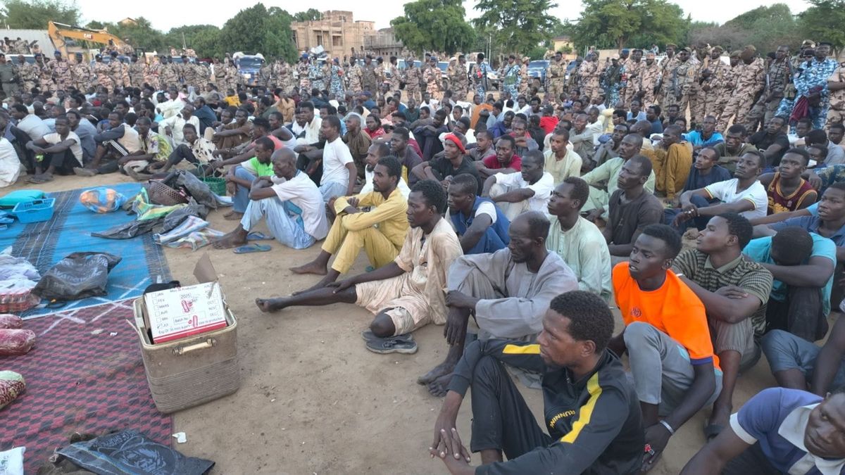 Opération anti-criminalité à N’Djamena : 252 arrestations et saisies record